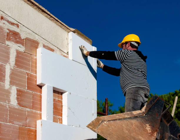 Best Insulation Maintenance and Repair in Waverly, VA
