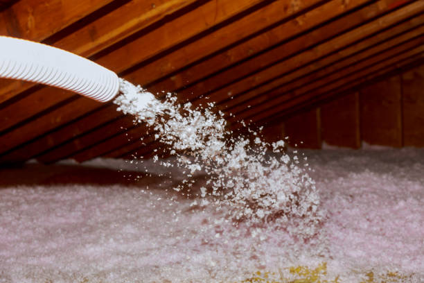 Best Spray Foam Insulation in Waverly, VA