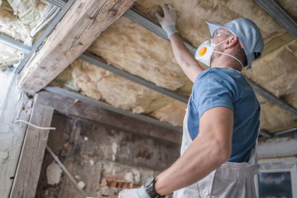 Best Residential Insulation in Waverly, VA