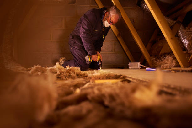 Best Cellulose Insulation in Waverly, VA